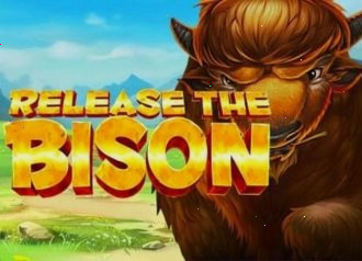 Аппарат Release the Bison — динамичный с высокими коэффициентами